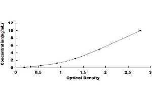 Typical standard curve (ALDH6A1 ELISA 试剂盒)