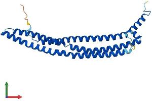 Protein Structure (PS) image for Bridging Integrator 3 (BIN3) (AA 1-253) protein (His tag) (ABIN7552587)
