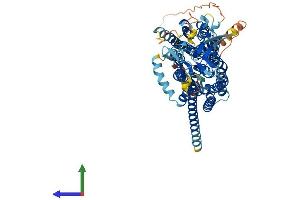 Protein Structure (PS) image for Solute Carrier Organic Anion Transporter Family, Member 2B1 (SLCO2B1) (AA 1-683) protein (His tag) (ABIN7558995)