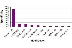 Histone H3 trimethyl Lys27 antibody specificity tested by peptide array analysis. (Histone 3 抗体  (3meLys27))