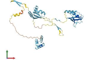 AlphaFold protein structure predicition of Mouse Recombinant Nsfl1c Protein, UniprotID Q9CZ44