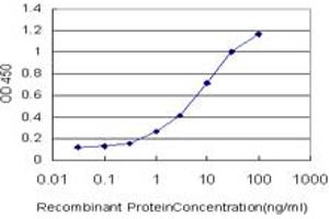 Detection limit for recombinant GST tagged PCDHB3 is approximately 0. (PCDHB3 抗体  (AA 284-381))