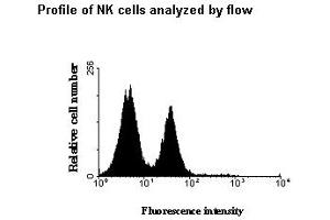 Image no. 1 for anti-Killer Cell Immunoglobulin-Like Receptor, Two Domains, Long Cytoplasmic Tail, 3 (KIR2DL3) (AA 19-161) antibody (ABIN165424) (KIR2DL3 抗体  (AA 19-161))