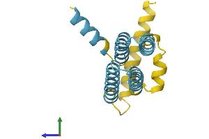 Protein Structure (PS) image for SFT2 Domain Containing 1 (SFT2D1) (AA 1-159) protein (His tag) (ABIN7546035)