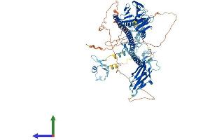 Protein Structure (PS) image for Tripartite Motif Containing 9 (TRIM9) (AA 1-817) protein (His tag) (ABIN7564521)