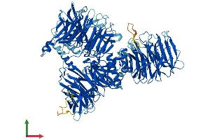 Protein Structure (PS) image for Splicing Factor 3b, Subunit 3, 130kDa (SF3B3) (AA 1-1217) protein (His tag) (ABIN7564849)