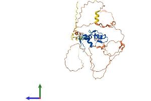 AlphaFold protein structure predicition of Mouse Recombinant Egr3 Protein, UniprotID P43300