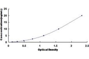 Typical standard curve (Caldesmon ELISA 试剂盒)