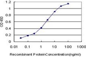 Detection limit for recombinant GST tagged PDE10A is approximately 0. (PDE10A 抗体  (AA 242-333))