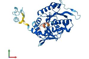 Protein Structure (PS) image for Nucleotide Binding Protein 1 (NUBP1) (AA 1-320) protein (His tag) (ABIN7556180)