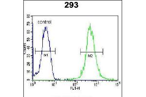 Flow cytometric analysis of 293 cells (right histogram) compared to a negative control cell (left histogram). (WDR48 抗体  (C-Term))