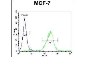 OR6C4 Antibody (C-term) (ABIN654862 and ABIN2844522) flow cytometric analysis of MCF-7 cells (right histogram) compared to a negative control cell (left histogram). (OR6C4 抗体  (C-Term))
