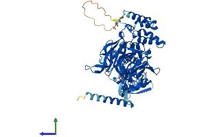 Protein Structure (PS) image for Kelch Repeat and BTB (POZ) Domain Containing 5 (KBTBD5) (AA 1-621) protein (His tag) (ABIN7561071)