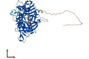 Protein Structure (PS) image for beta-Carotene 15,15'-Monooxygenase 1 (BCMO1) (AA 1-566) protein (His tag) (ABIN7561603)