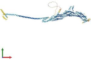 Protein Structure (PS) image for Exocyst Complex Component 6B (EXOC6B) (AA 1-810) protein (His tag) (ABIN7562003)