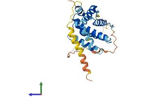 Protein Structure (PS) image for B-Cell CLL/lymphoma 2 (BCL2) (AA 1-239) protein (His tag) (ABIN7552578)