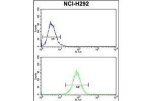 DNM3 Antibody (Center) (ABIN652780 and ABIN2842512) flow cytometry analysis of NCI- cells (bottom histogram) compared to a negative control cell (top histogram). (Dynamin 3 抗体  (AA 557-584))