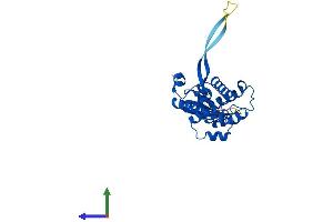 Protein Structure (PS) image for tRNA-Histidine Guanylyltransferase 1-Like (THG1L) (AA 1-298) protein (His tag) (ABIN7560744)