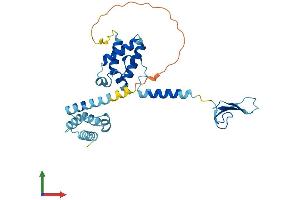 Protein Structure (PS) image for Transcription Elongation Factor A2 (TCEA2) (AA 1-299) protein (His tag) (ABIN7544300)