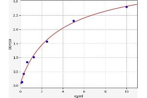 Typical standard curve (RAPGEF4 ELISA 试剂盒)