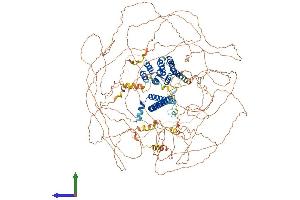 AlphaFold protein structure predicition of Mouse Recombinant Rprd2 Protein, UniprotID Q6NXI6