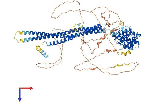 ARHGAP44 Protein (AA 1-814) (His tag)