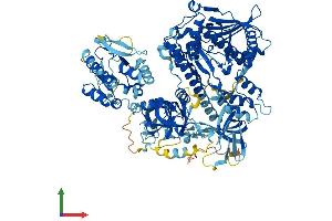 Protein Structure (PS) image for Exosome Complex Exonuclease RRP44 (DIS3) (AA 1-958) protein (His tag) (ABIN7564944)