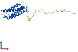 Protein Structure (PS) image for Angiotensin II Receptor-Associated Protein (AGTRAP) (AA 1-161) protein (His tag) (ABIN7556324)
