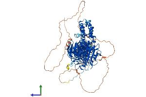 Protein Structure (PS) image for Kelch-Like 1 (KLHL1) (AA 1-751) protein (His tag) (ABIN7561535)
