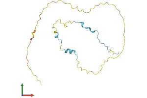 Protein Structure (PS) image for Coordinator of PRMT5, Differentiation Stimulator (COPRS) (AA 1-173) protein (His tag) (ABIN7560498)