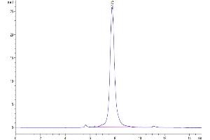 Size-exclusion chromatography-High Pressure Liquid Chromatography (SEC-HPLC) image for Microfibrillar Associated Protein 5 (MFAP5) (AA 22-173) protein (Fc Tag) (ABIN7275231)