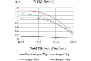 Black line: Control Antigen (100 ng),Purple line: Antigen (10 ng), Blue line: Antigen (50 ng), Red line:Antigen (100 ng) (Plexin A1 抗体  (AA 1100-1200))