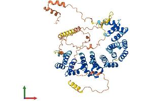 AlphaFold protein structure predicition of Human Recombinant HEATR9 Protein, UniprotID A2RTY3