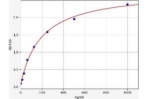 Typical standard curve (SERPINA6 ELISA 试剂盒)