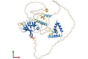 Protein Structure (PS) image for HMG Box-Containing Protein 1 (HBP1) (AA 1-514) protein (His tag) (ABIN7548276)