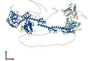 Protein Structure (PS) image for Glucocorticoid Receptor DNA Binding Factor 1 (GRLF1) (AA 1-1499) protein (His tag) (ABIN7564823)