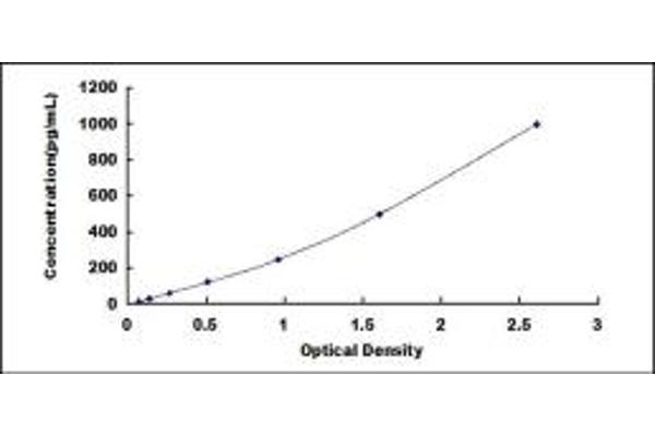 Prokineticin 1 ELISA 试剂盒