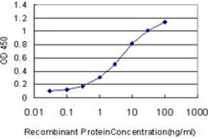 Detection limit for recombinant GST tagged TIMP2 is approximately 0. (TIMP2 抗体  (AA 27-220))