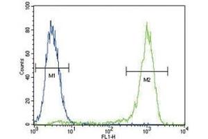 AKT antibody flow cytometric analysis of MCF-7 cells (right histogram) compared to a negative control (left histogram). (AKT1 抗体  (AA 428-457))