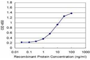 Detection limit for recombinant GST tagged ZFP161 is approximately 0. (ZBTB14/ZFP161 抗体  (AA 311-420))