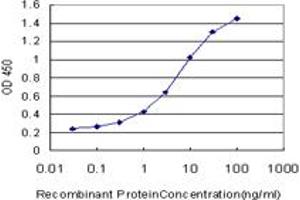Detection limit for recombinant GST tagged TLN1 is approximately 0. (TLN1 抗体  (AA 1052-1149))