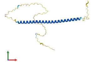 Protein Structure (PS) image for Biogenesis of Lysosomal Organelles Complex-1, Subunit 3 (BLOC1S3) (AA 1-195) protein (His tag) (ABIN7557565)