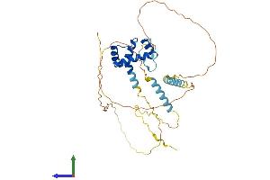 AlphaFold protein structure predicition of Mouse Recombinant Mkx Protein, UniprotID Q8BIA3