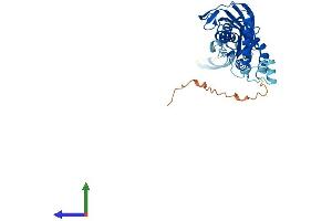 Protein Structure (PS) image for TruB Pseudouridine (Psi) Synthase Homolog 2 (TRUB2) (AA 1-331) protein (His tag) (ABIN7544830)