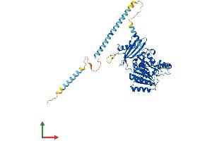 Protein Structure (PS) image for Chondroitin Sulfate N-Acetylgalactosaminyltransferase 2 (CSGALNACT2) (AA 1-542) protein (His tag) (ABIN7553316)