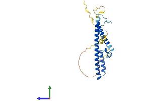 AlphaFold protein structure predicition of Human Recombinant RILPL2 Protein, UniprotID Q969X0