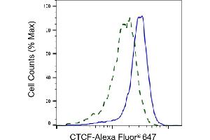 Validation of CTCF knockdown using flow cytometry. (Recombinant CTCF 抗体)