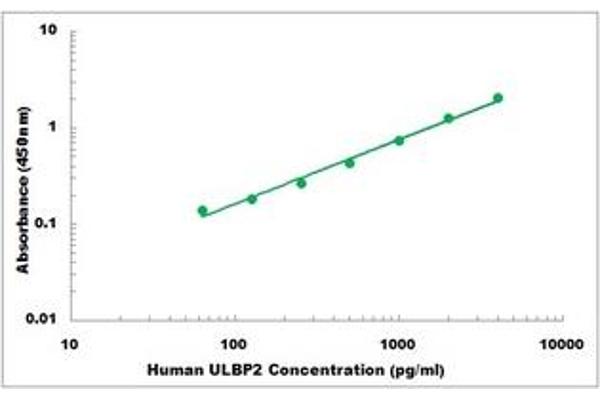 ULBP2 ELISA 试剂盒