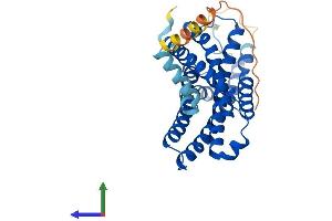 AlphaFold protein structure predicition of Mouse Recombinant Ffar2 Protein, UniprotID Q8VCK6 (FFAR2 Protein (AA 1-330) (His tag))