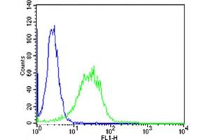 Flow Cytometry (FACS) image for anti-Phosphatidylinositol-5-Phosphate 4-Kinase, Type II, alpha (PIP4K2A) (AA 329-363), (C-Term) antibody (ABIN6243276)